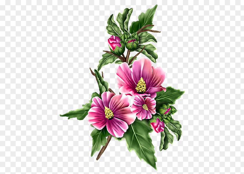 Flower Cut Flowers Mallow Floral Design Garden Cosmos PNG