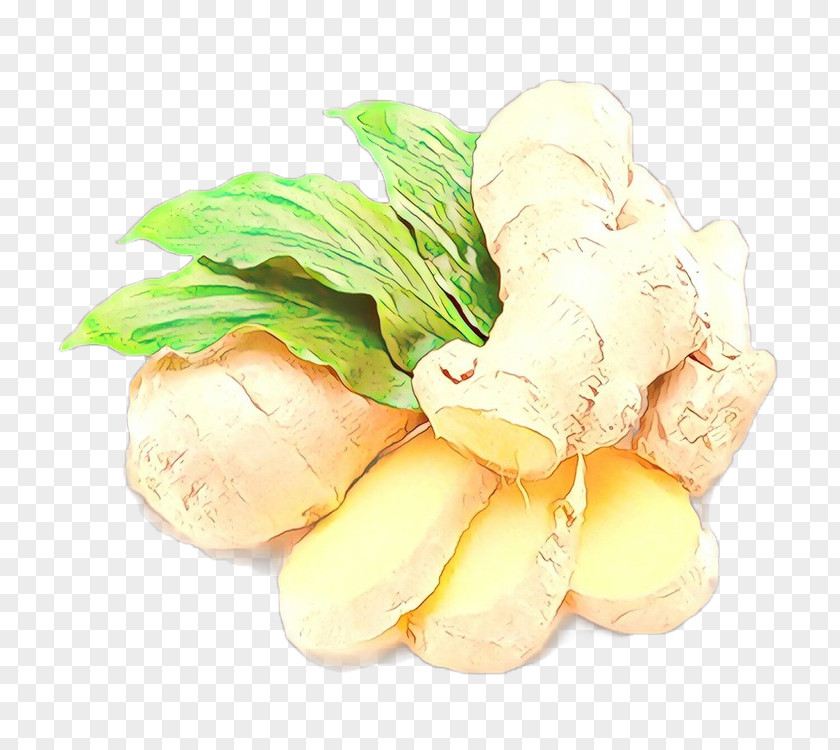 Herb Root Vegetable Food Ginger Ingredient Plant PNG