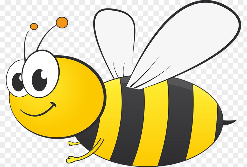Newspaper Bee Cliparts Scripps National Spelling Student School PNG