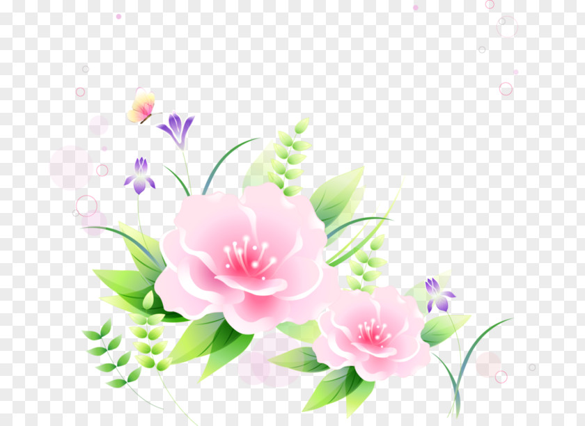 Peony Garden Roses Japanese Camellia Sasanqua Floral Design Desktop Wallpaper PNG