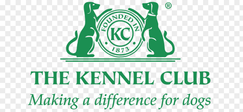 Puppy Bolognese Dog The Kennel Club PNG
