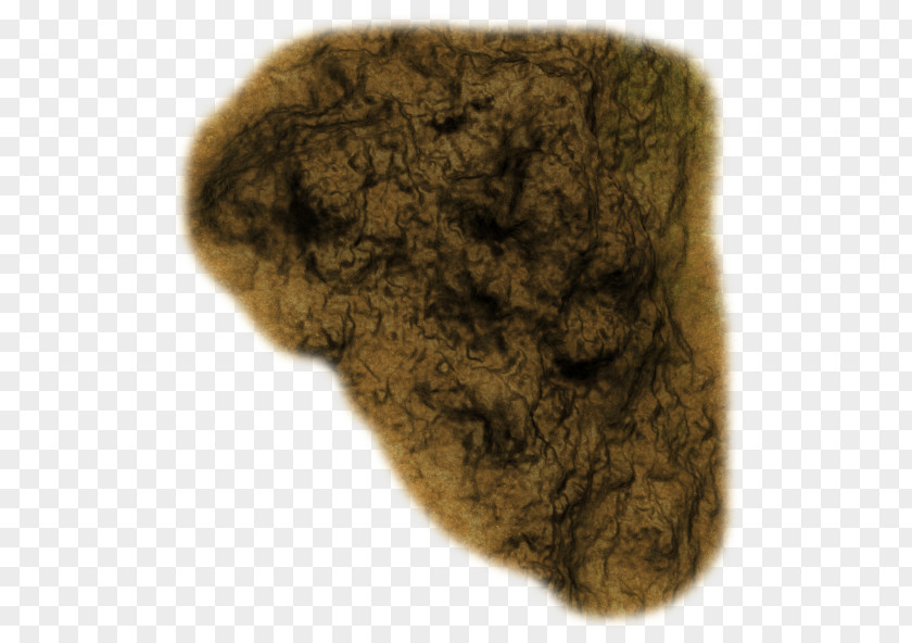 Rock Ground Rocky Balboa Tree Stump Soil Trunk PNG