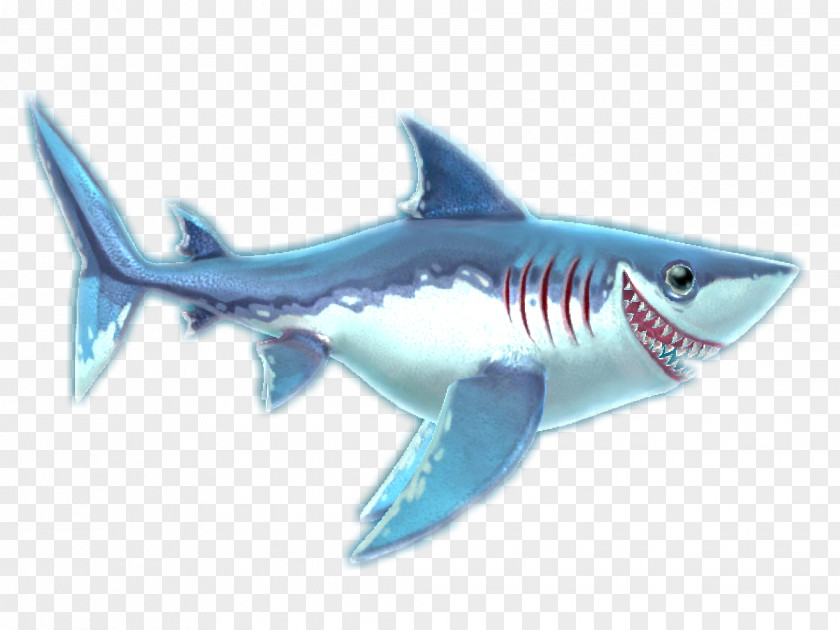 Sharks Hungry Shark World Evolution Great White Stethacanthus PNG