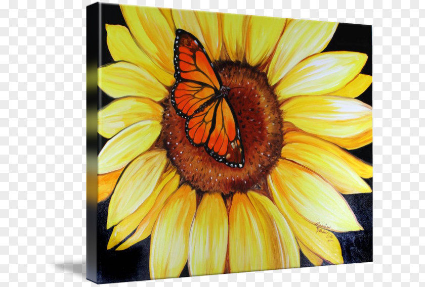 Sunflower Watercolor Monarch Butterfly Common Insect PNG