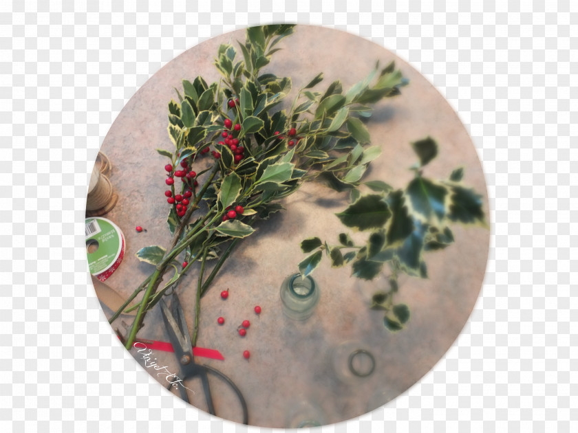 Christmas Ornament Herb PNG