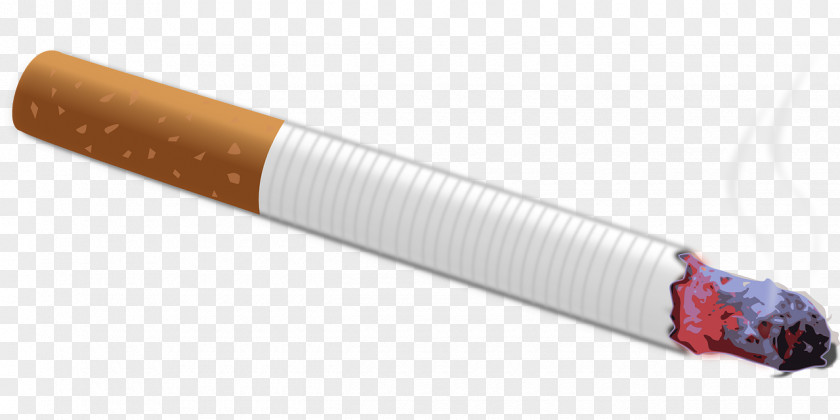 Cigarettes Tobacco Smoking Cigarette PNG