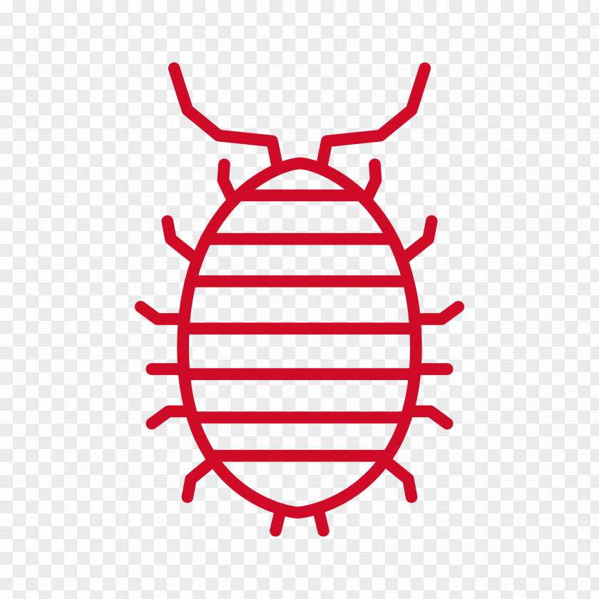 Line Insect Clip Art PNG