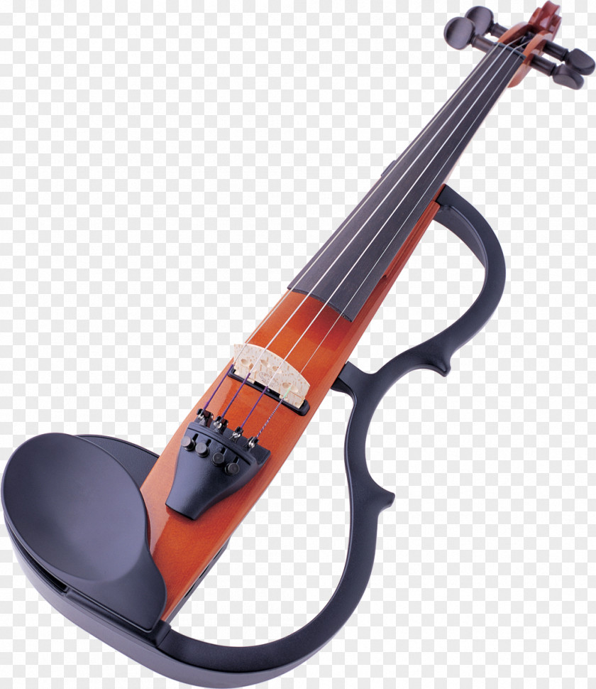 Violin Musical Instruments Family String PNG