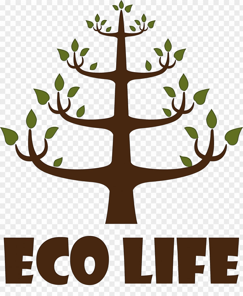 Eco Life Tree PNG