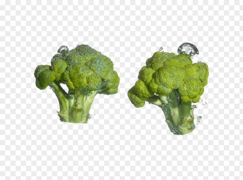 Free Stock Photos Broccoli Pull Cauliflower Cabbage Food Vegetable PNG