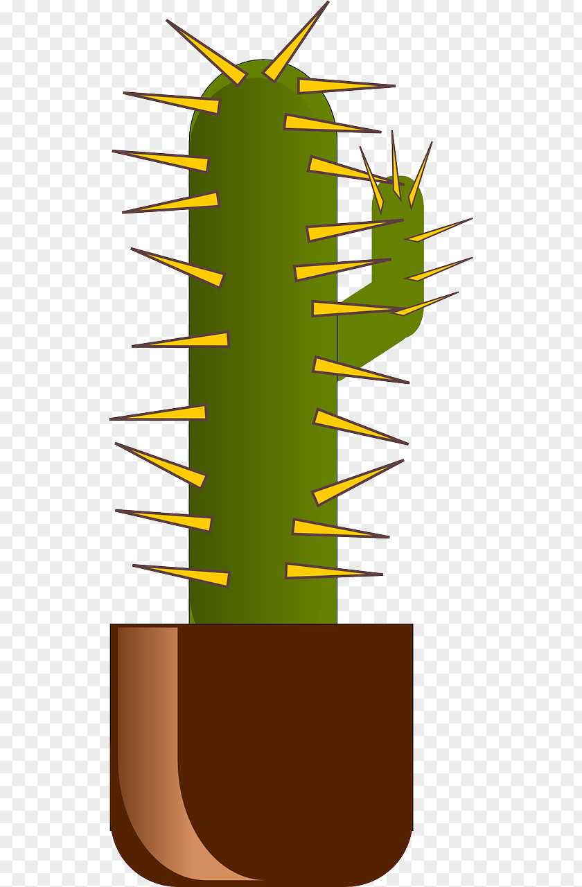Green Cactus Cactaceae Thorns, Spines, And Prickles Clip Art PNG