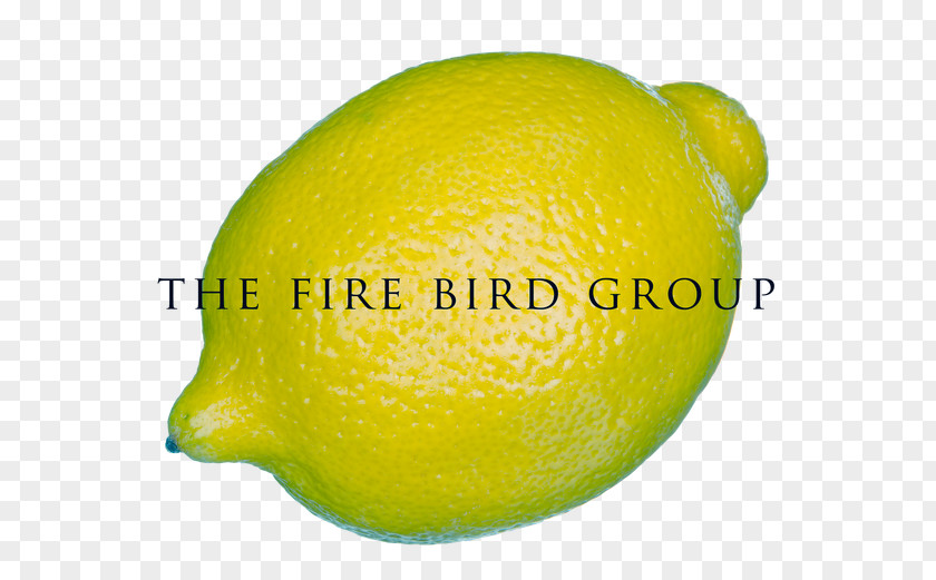 Lemon When Life Gives You Lemons, Make Lemonade Persian Lime PNG