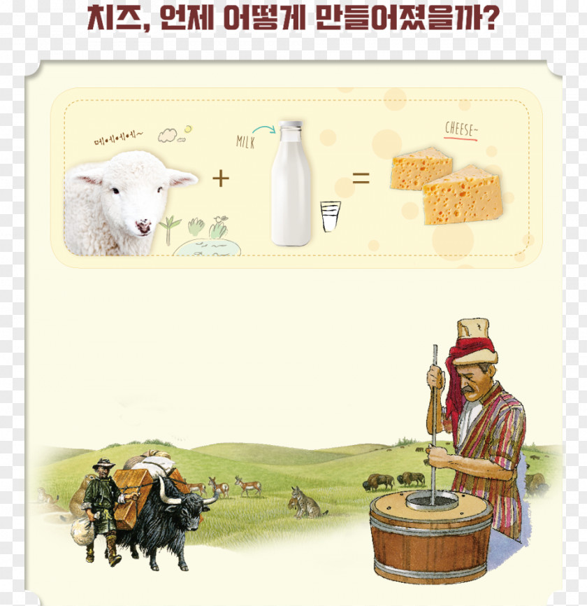 PICOCK Home Accessories 신세계그룹 Cattle PNG