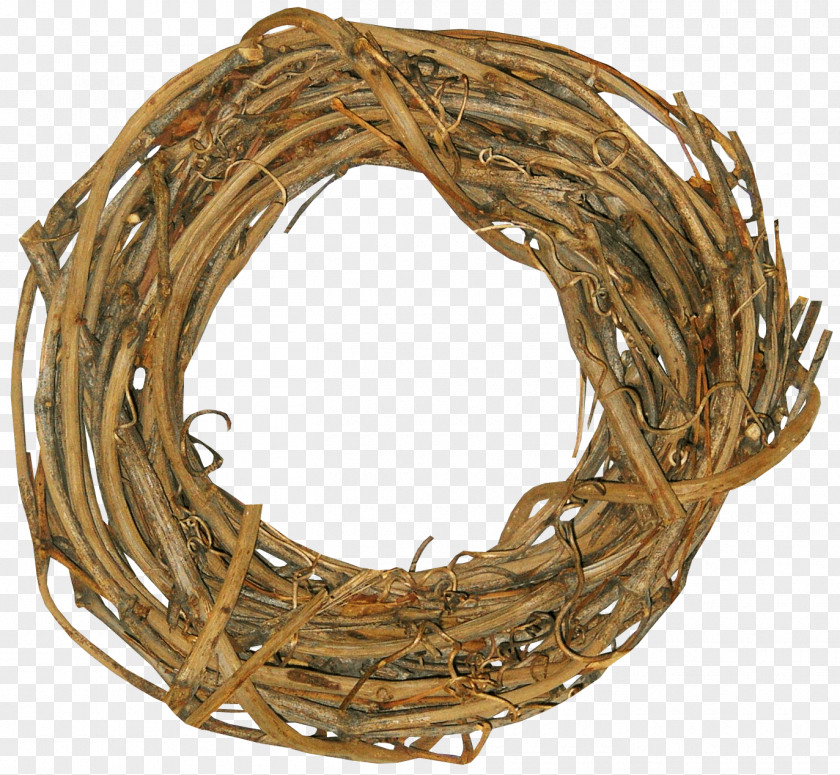 Straw Nest Picture Frame Photography Clip Art PNG