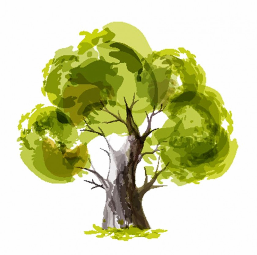 Tree Paper Drawing Watercolor Painting PNG