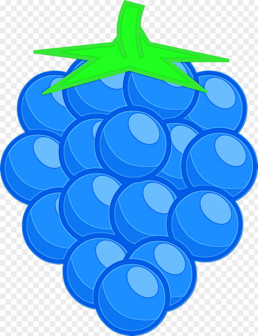 Water Bottle Plant Circle PNG