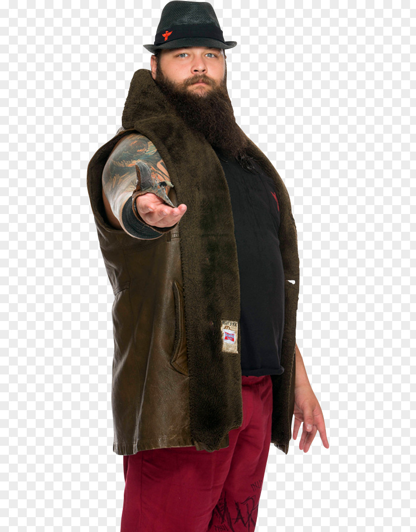 Beard Fur PNG