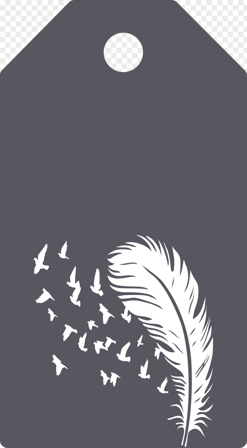 Feather Birds Tag PNG