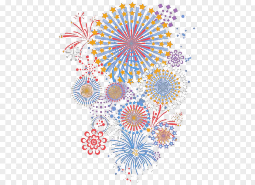 Fireworks Graphic Design Petal Symmetry Pattern PNG