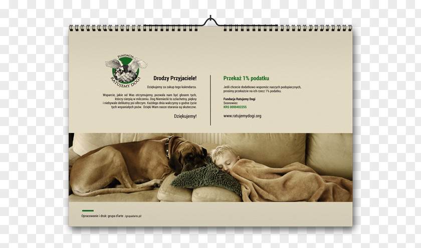 Kursy Pierwszej Pomocy BLS/AED Great Dane FoundationOthers Calendar Grupa Kreatywna D'Arte 