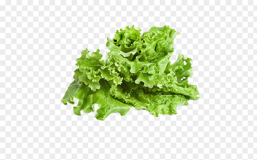 Lettuce Fattoush Mesclun Taco Shawarma PNG