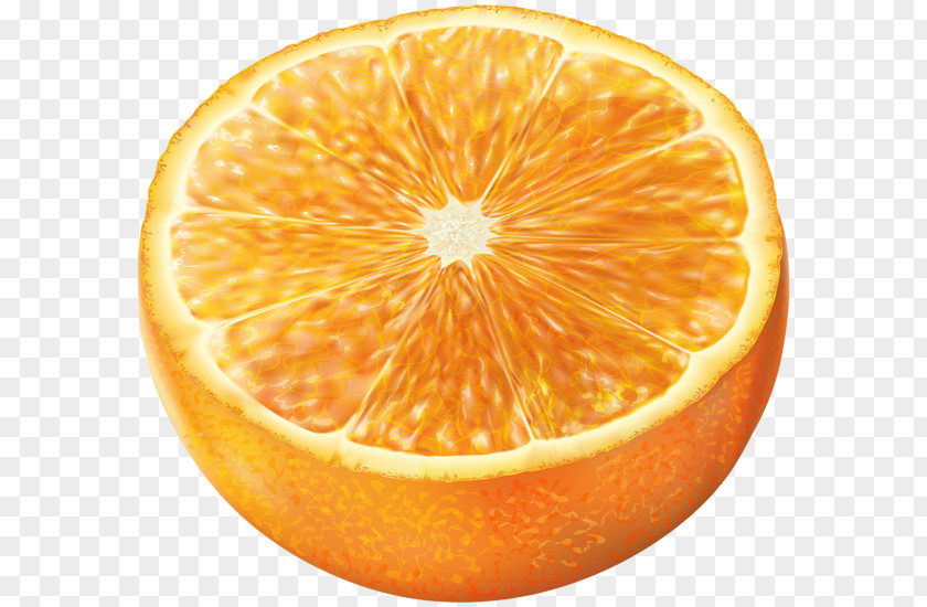 Orange Fruit Tangerine Grapefruit Mandarin Clip Art PNG