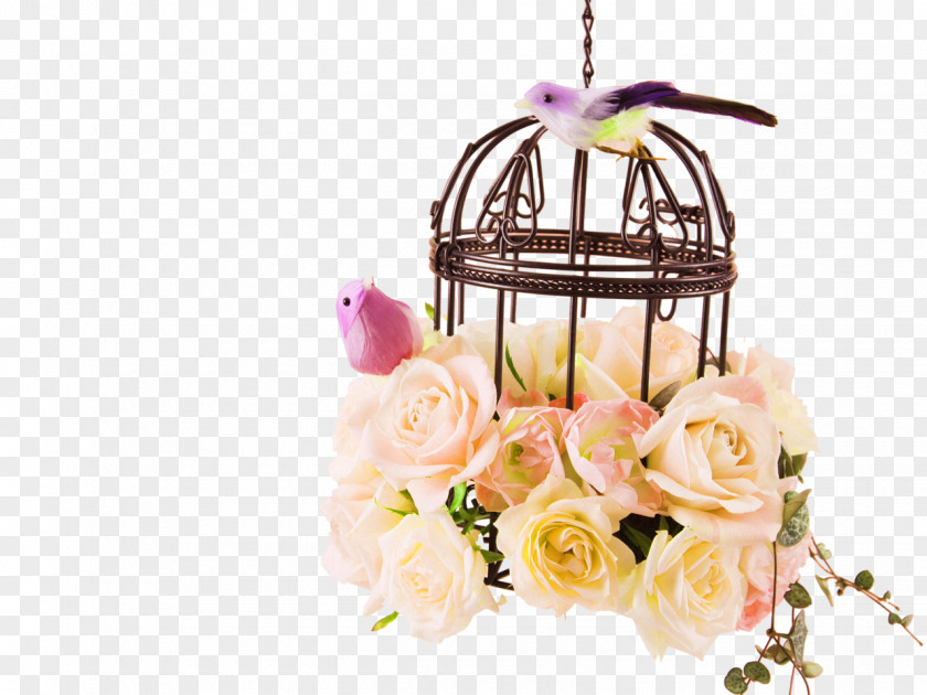 Rose Bird Cage Decoration Pattern Birdcage Wallpaper PNG