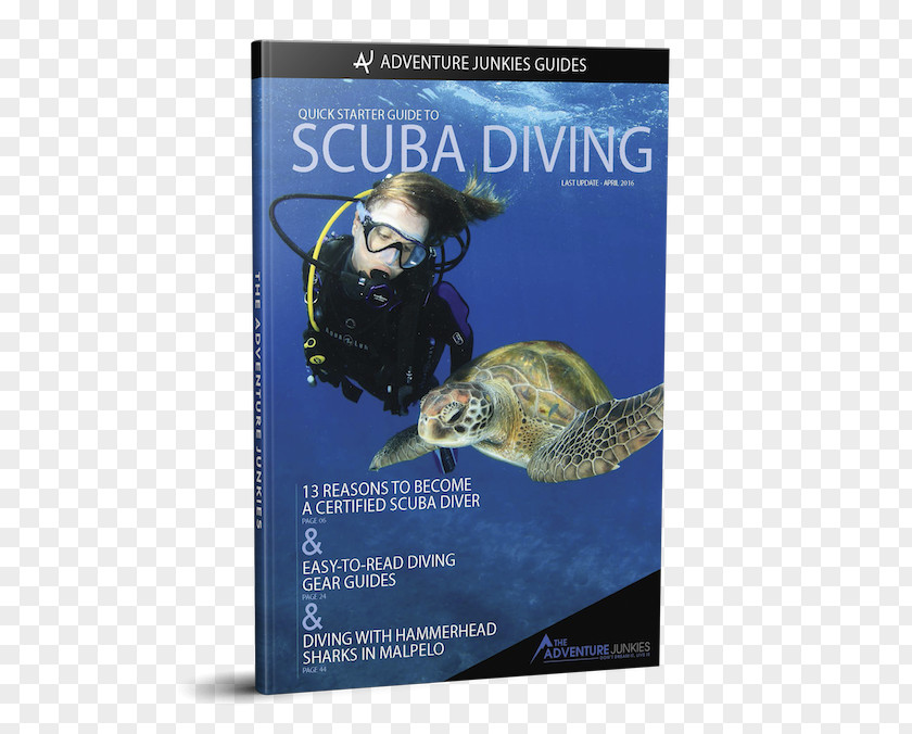 Sea Marine Biology Andaman Scuba Diving Underwater Photography PNG