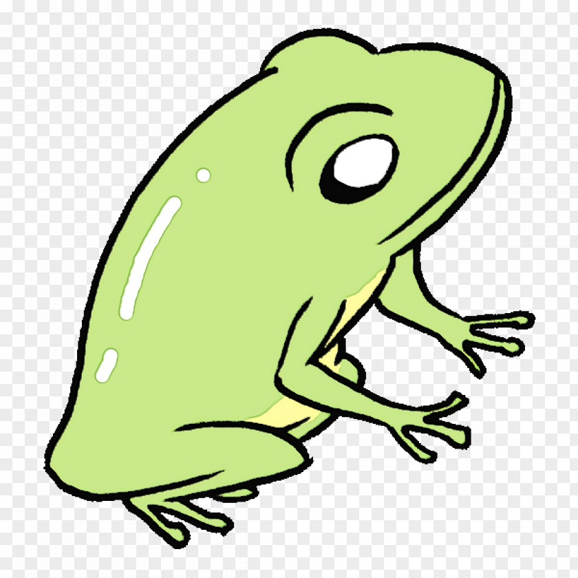Toad True Frog Line Art Tree Cartoon PNG