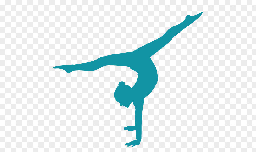 Acrobatics Artistic Gymnastics Rhythmic Sport PNG