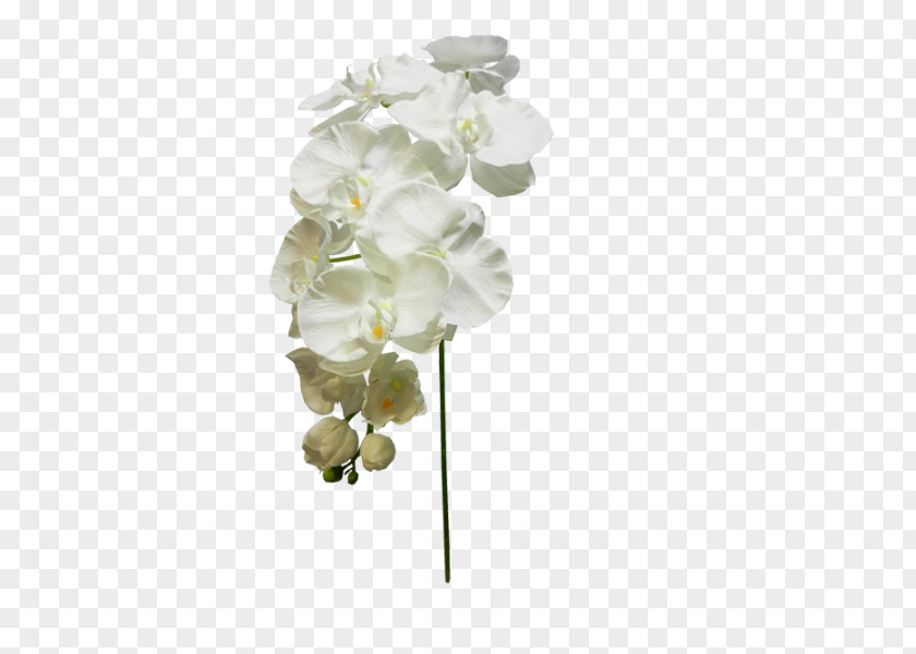 Artificial Berry Branches Moth Orchids Cut Flowers Floral Design PNG