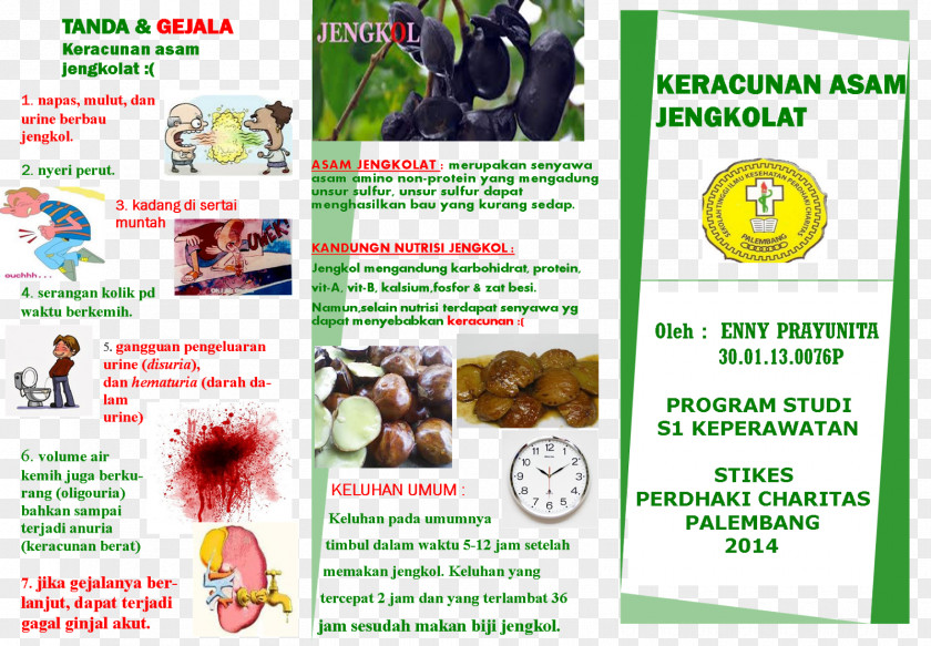 Buka Bareng Djenkolic Acid Flyer Disease Hematuria PNG