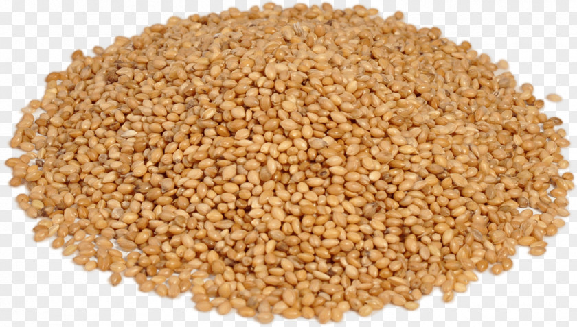 Daligrave Panicgrass Cereal Germ Safflower Grain PNG
