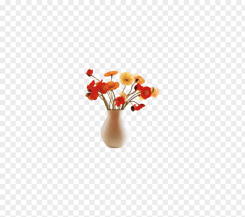 Dried Flower Vase PNG