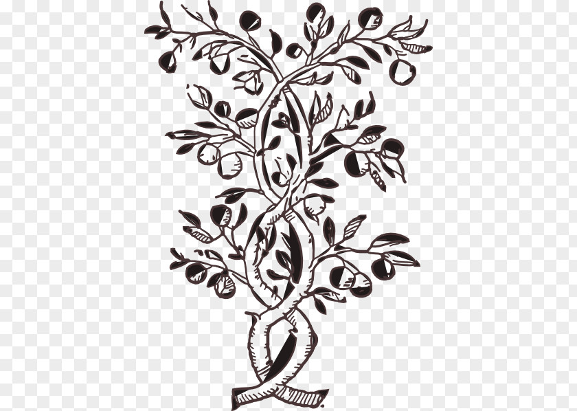 Eflower Tree Flower Branch Clip Art PNG