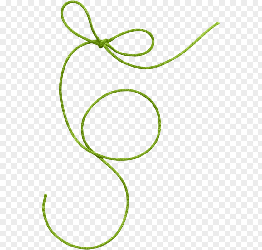 Green Rope Red PNG