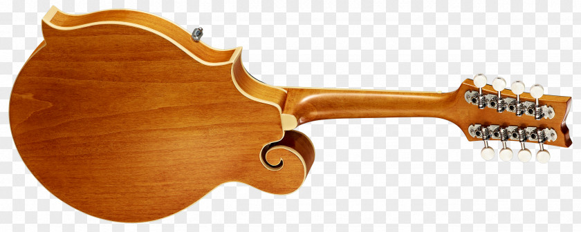 Guitar Ukulele Fingerboard Musical Instruments Neck PNG
