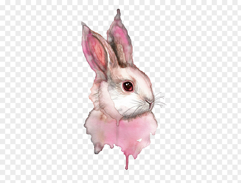 Painting Watercolor Art Rabbit PNG