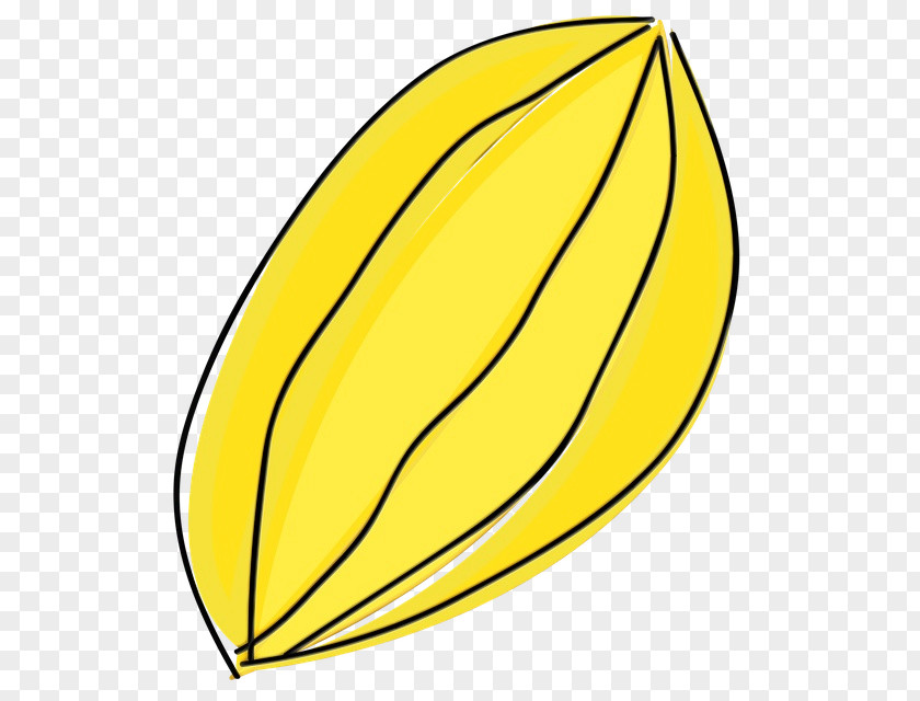 Banana Family Plant Leaf PNG