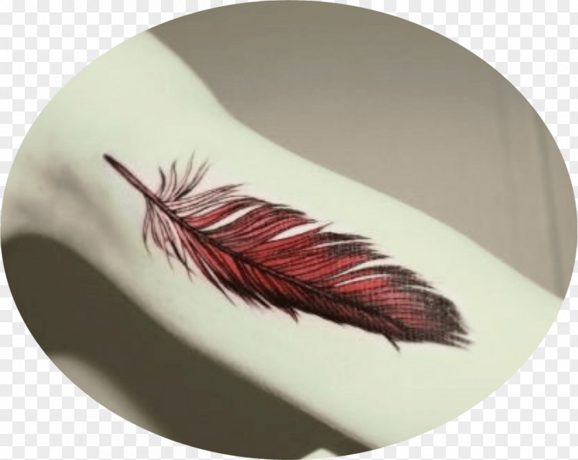 Feather Tadashi Tattoo Bird Color PNG