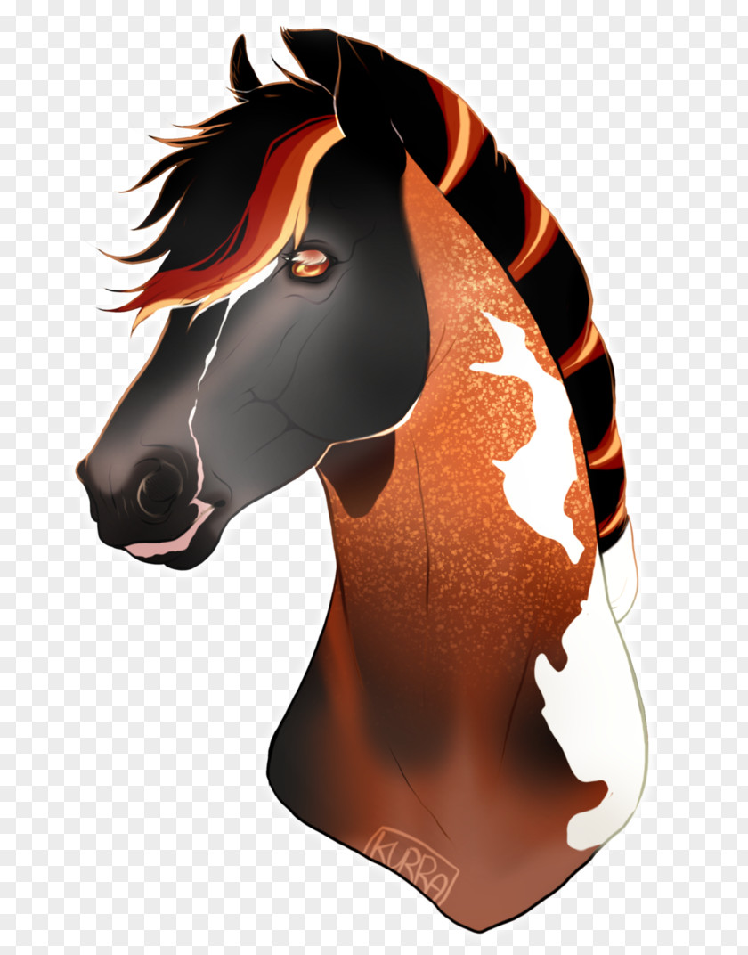 Mustang Halter Snout Stallion Pony PNG