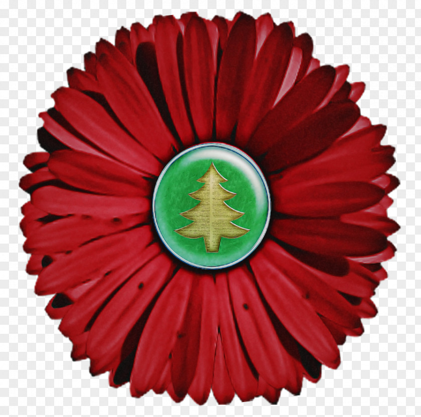 Red Flower Coquelicot Plant Petal PNG