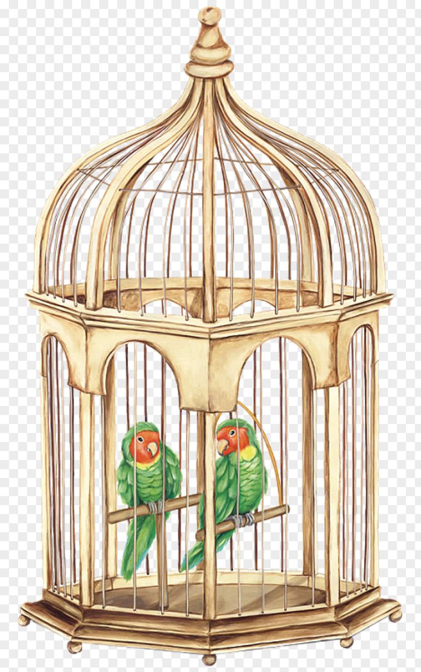 Bird Birdcage Parrot Pet PNG