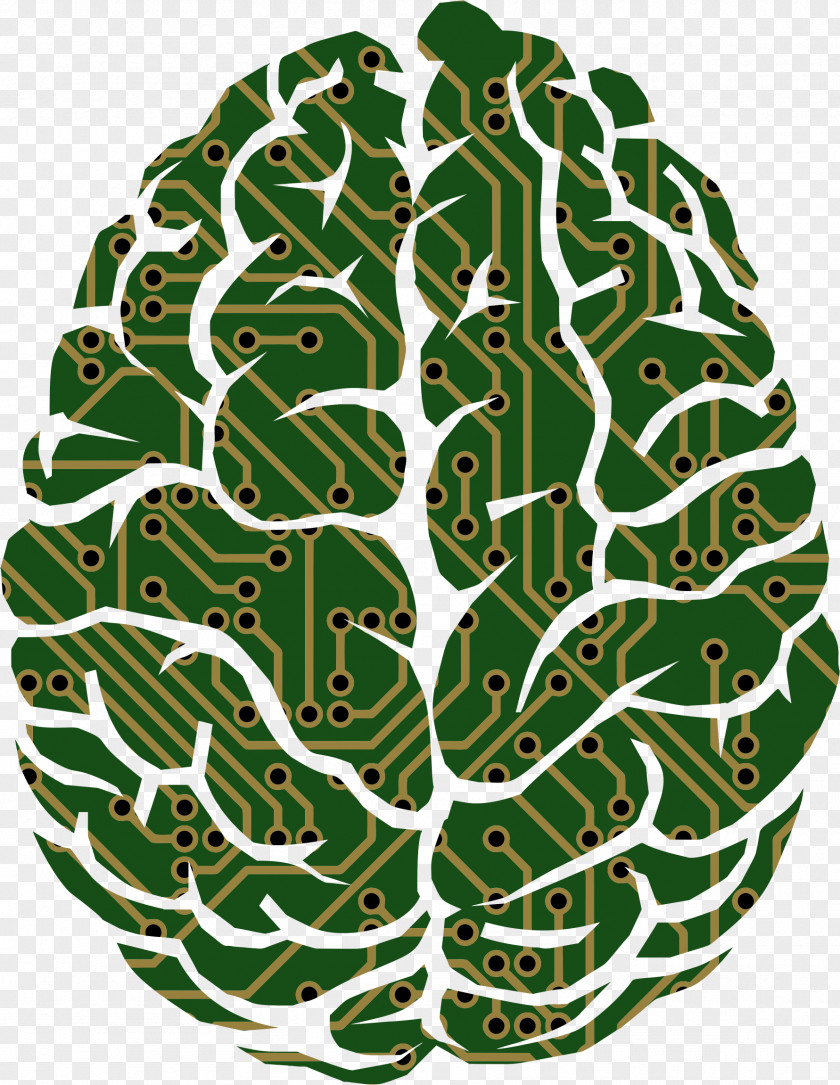 Decorative Patterns Brain Neuroscience Artificial Intelligence PNG