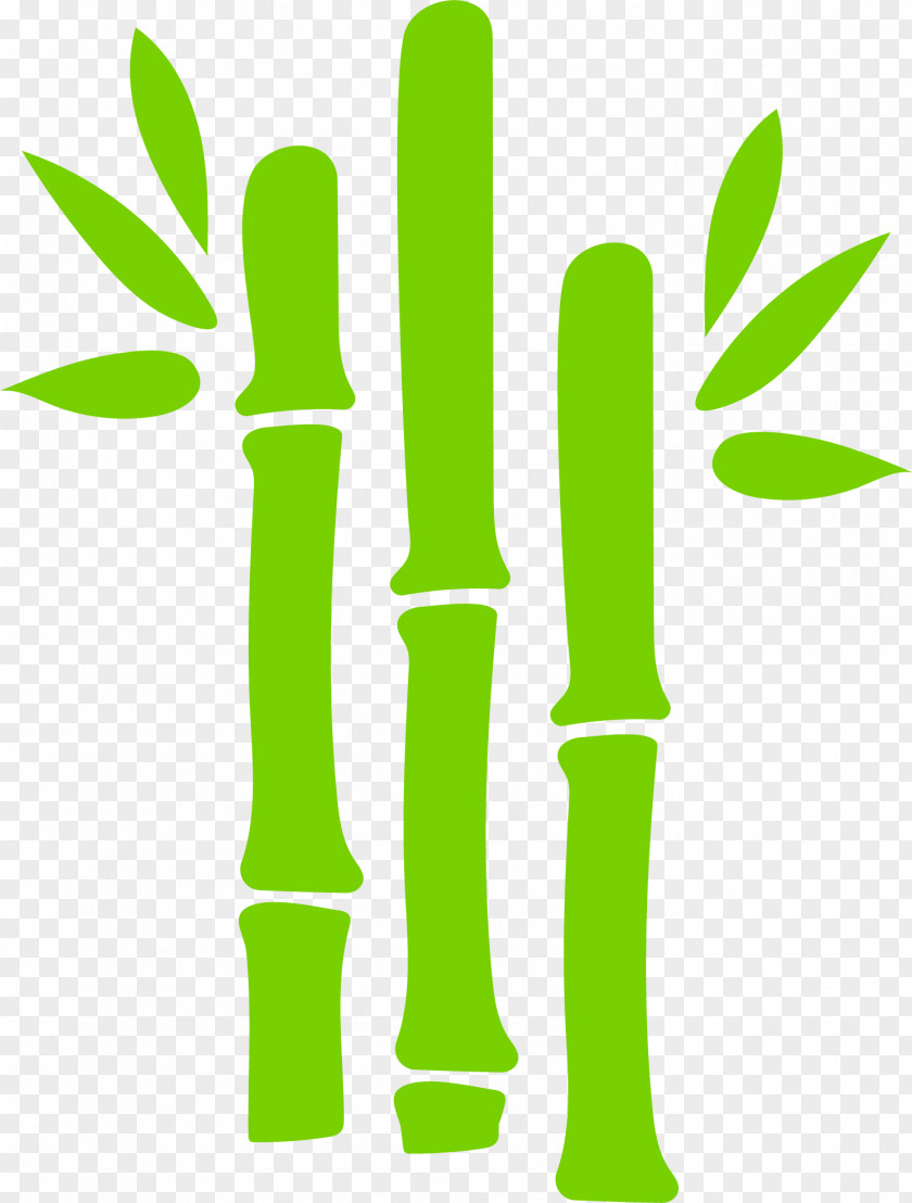 Hand Painted Green Bamboo Leaves Euclidean Vector PNG