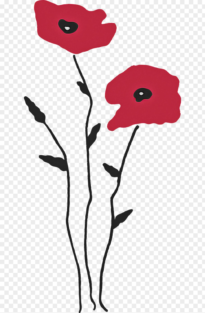 Plant Stem Drawing Poppy Cartoon PNG