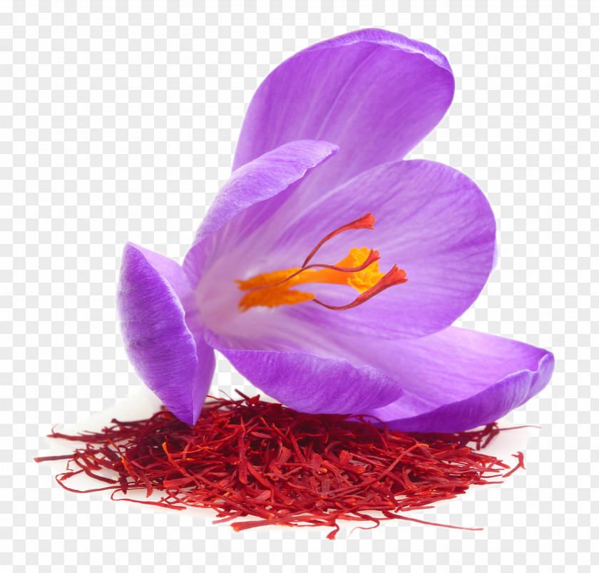 Saffron Fabric Definition Autumn Crocus Stock Photography Royalty-free Food PNG