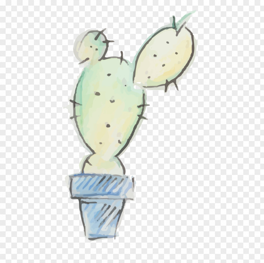 Vector Cactus Cactaceae PNG