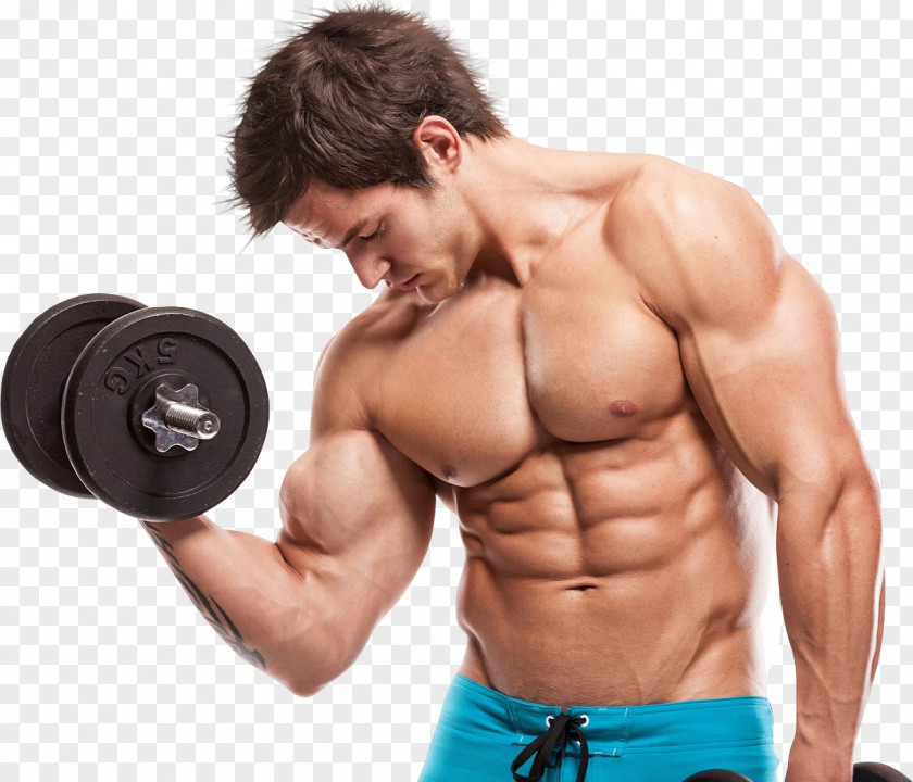 Dumbbell Exercise Strength Training Weight Biceps Curl PNG