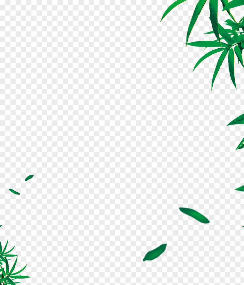 Green Bamboo Leaves Background Leaf Angle Area Pattern PNG
